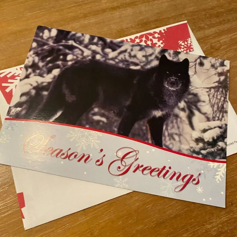 Defenders of Wildlife Black Wolf Winter Season Greeting Merry Christmas Card